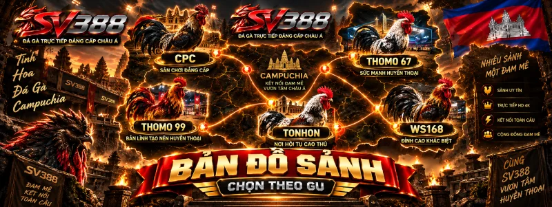 Bản đồ các sảnh đá gà SV388 chọn theo gu