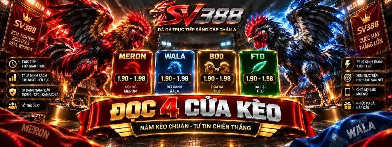 Đọc bốn cửa kèo Meron Wala BDD FTD trên đá gà SV388