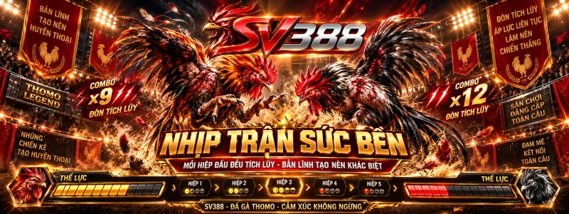 Đọc nhịp trận gà cựa sắt để vào kèo trên SV388