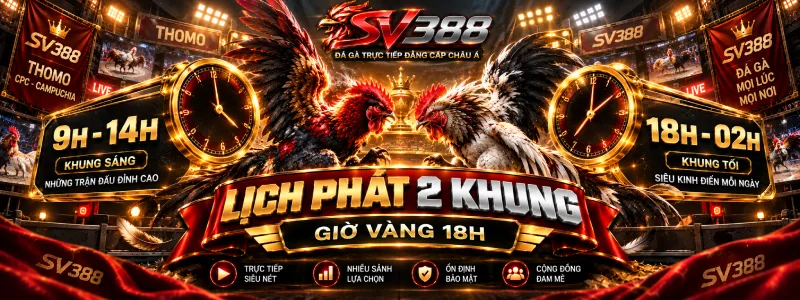Lịch phát đá gà Thomo SV388 theo khung giờ trong ngày