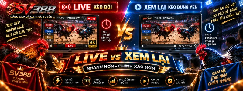 Xem đá gà trực tiếp SV388 khác xem lại thế nào