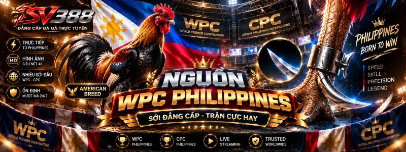 Đá Gà Cựa Dao SV388 - Trận Nhanh Một Đường Dứt Điểm 1 Nguồn gà cựa dao Philippines trên đá gà cựa dao SV388