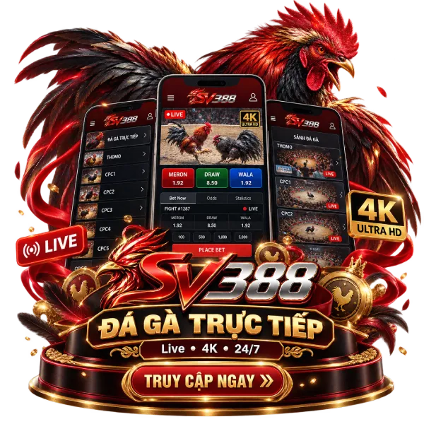 SV388 đá gà trực tiếp
