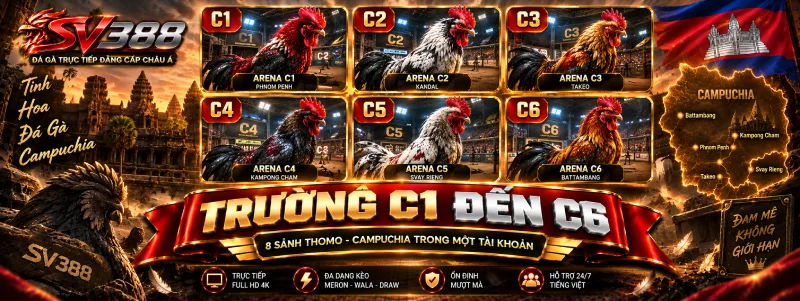 Các trường C1 đến C6 trên đá gà Thomo SV388