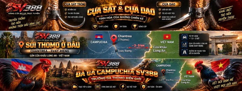 Các trường gà Campuchia trên đá gà Campuchia SV388